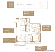 正在新华·星耀东方所正在