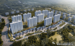 项目外立面银色铝板+喷鼻槟金铝板线条